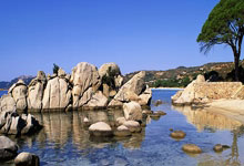 葡萄牙杯冠军意味着什么？